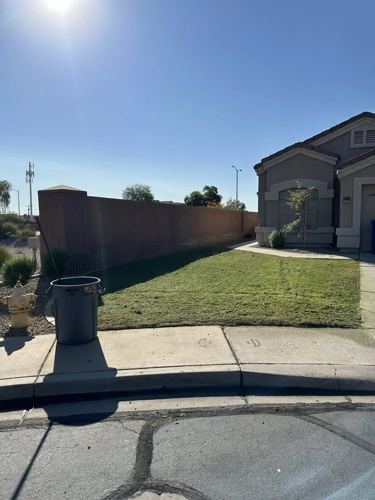 Local yard maintenance in Sun City West, AZ by Ajs Landscape