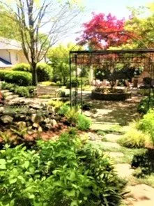 Affordable lawn care service for year-round maintenance across Charlotte, NC - AJ's Landscapes