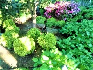 Professional yard cleanup service in Charlotte, NC by AJ's Landscapes