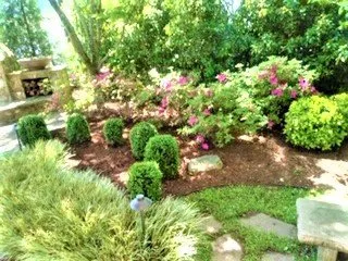 Local landscape design for year-round maintenance across Charlotte, NC - AJ's Landscapes