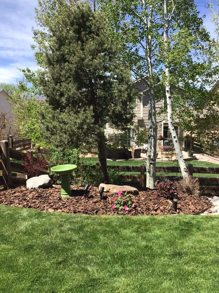 Professional landscaping services in Houston, TX by AJ's Landscaping & Design, Inc