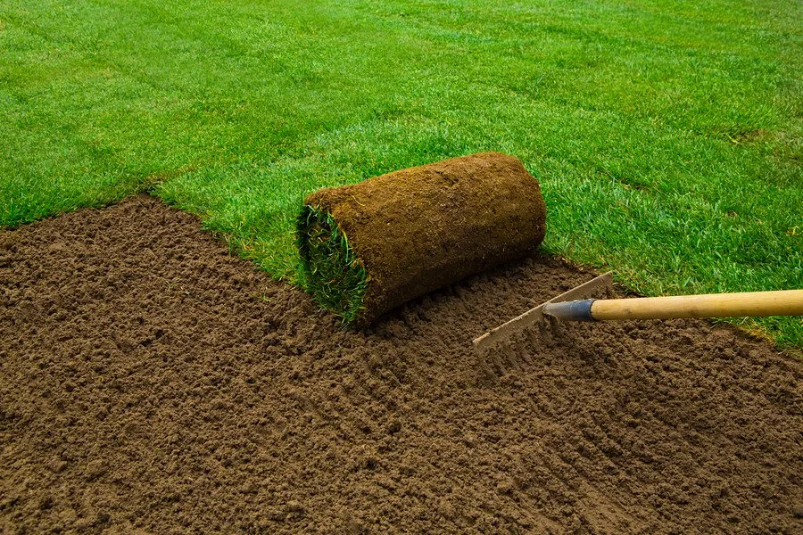 Affordable outdoor landscaping in Palatka, FL - Aj's landscaping & Sod