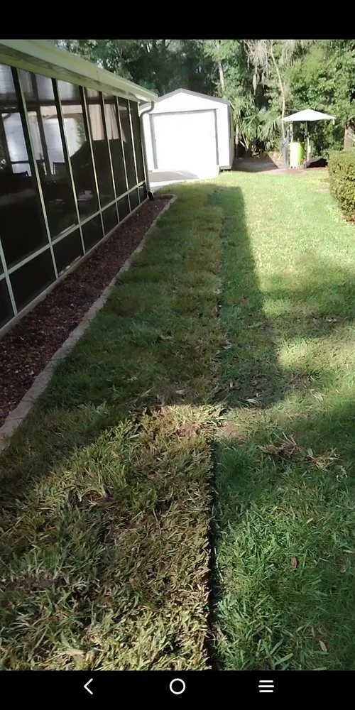 Trusted landscaping services for year-round maintenance across Palatka, FL - Aj's landscaping & Sod