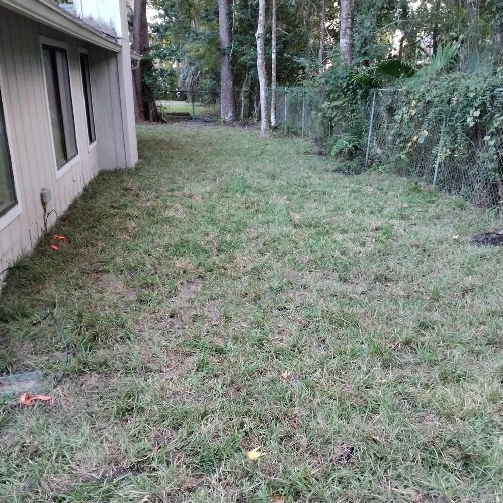 Professional landscape design in Palatka, FL - Aj's landscaping & Sod