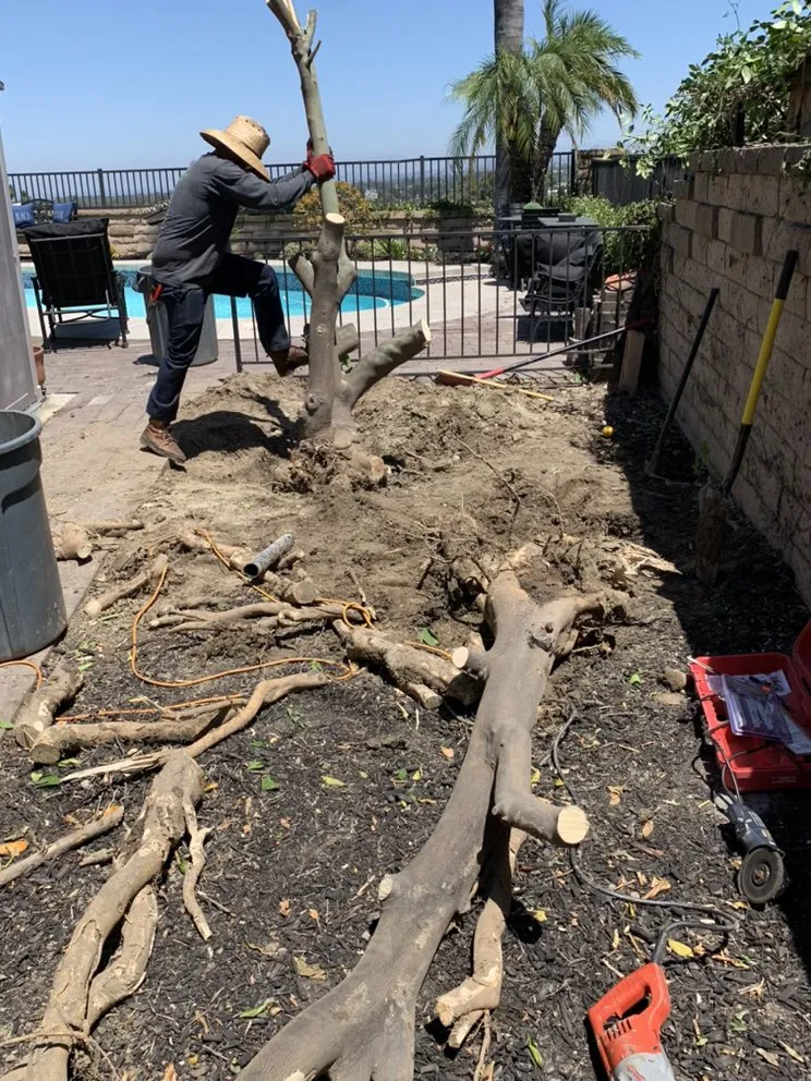 Reliable outdoor landscaping for homes in Carson, CA by AJ's Landscaping