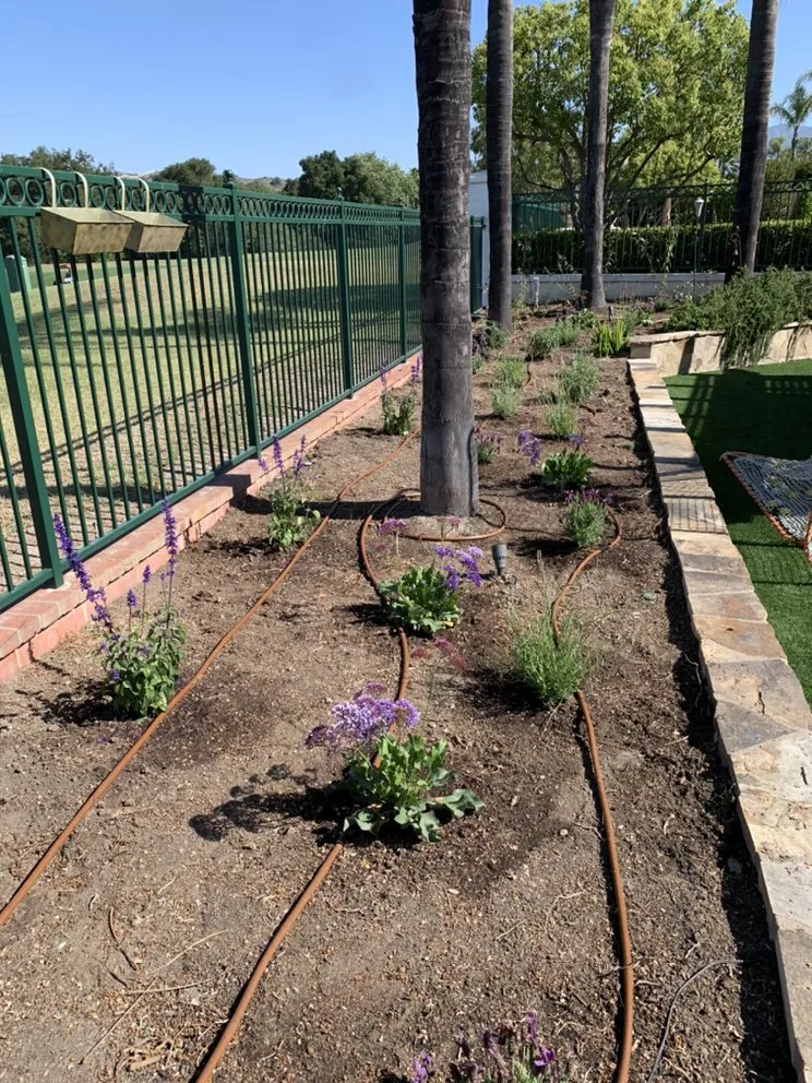 Top-rated landscaping services for outdoor upgrades across Carson, CA - AJ's Landscaping