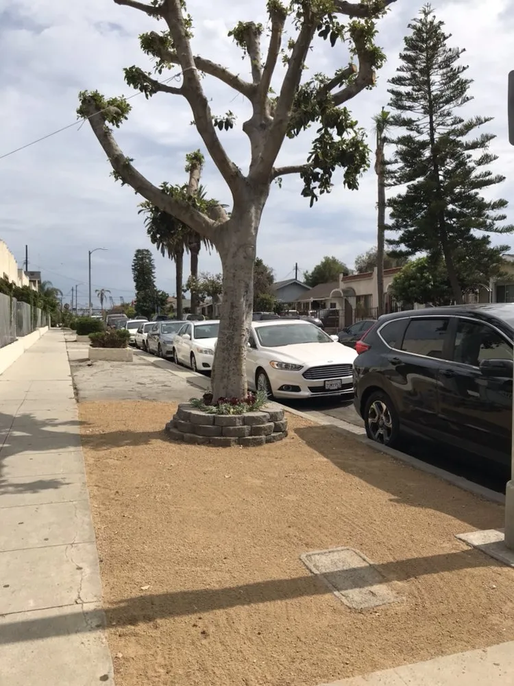 Professional outdoor landscaping near you in Carson, CA by AJ's Landscaping