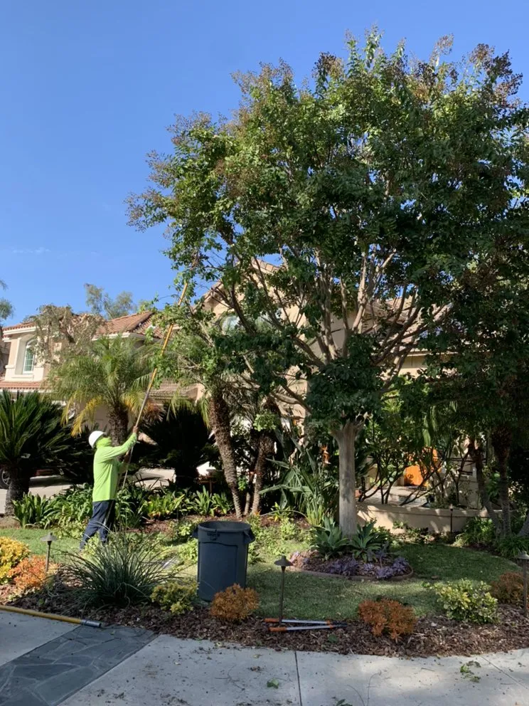 Top-rated landscape installation in Carson, CA by AJ's Landscaping