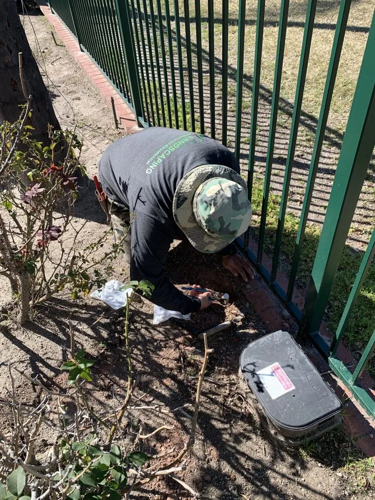 Top-rated landscape design in Carson, CA by AJ's Landscaping