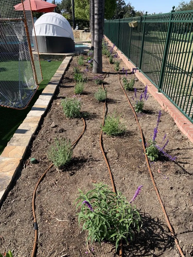 Affordable landscape design experts serving Carson, CA - AJ's Landscaping