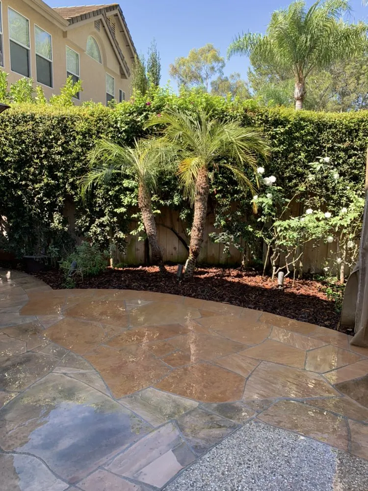 Trusted yard cleanup service experts serving Carson, CA - AJ's Landscaping