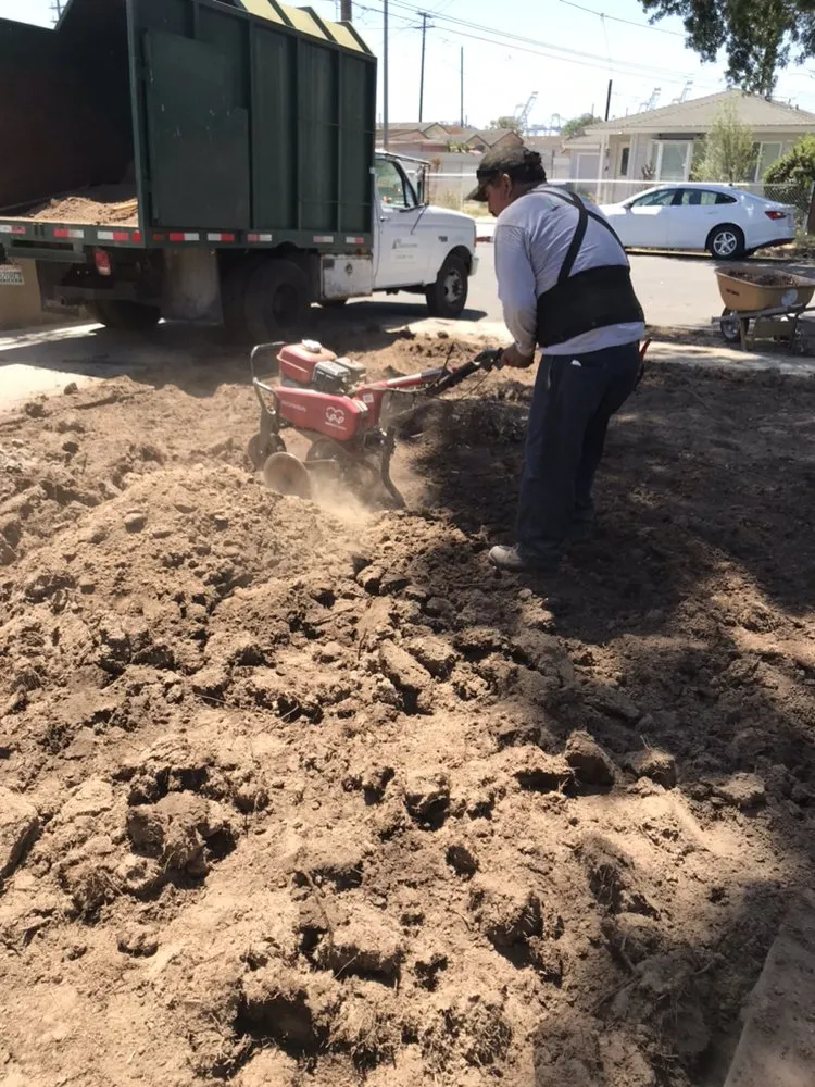 Professional landscape design in Carson, CA - AJ's Landscaping