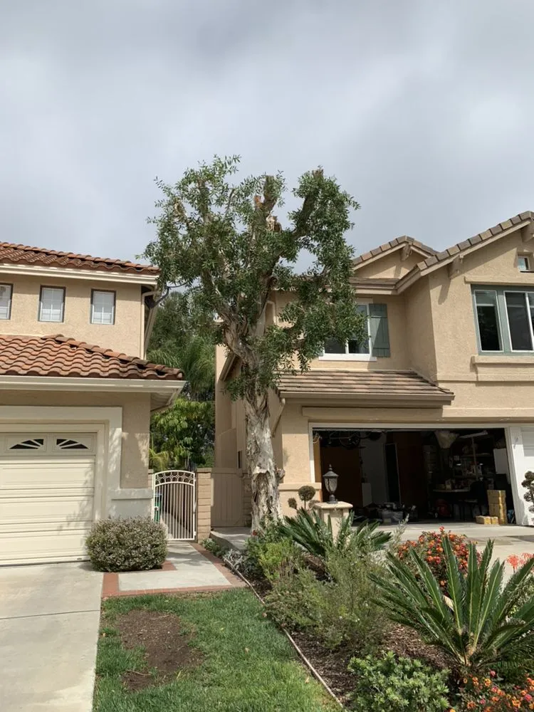 Expert lawn mowing service experts serving Carson, CA - AJ's Landscaping