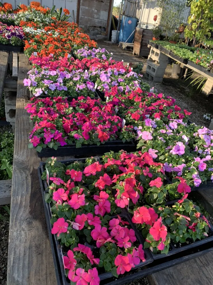 Affordable landscape installation for outdoor upgrades in Carson, CA by AJ's Landscaping