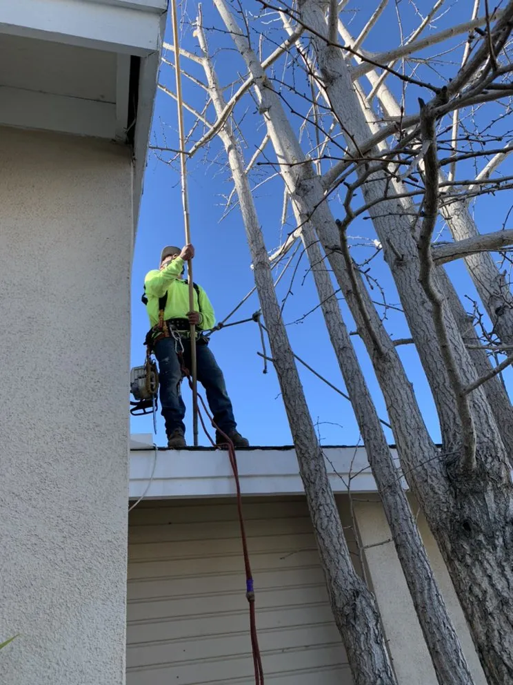 Local lawn care service for outdoor upgrades across Carson, CA - AJ's Landscaping