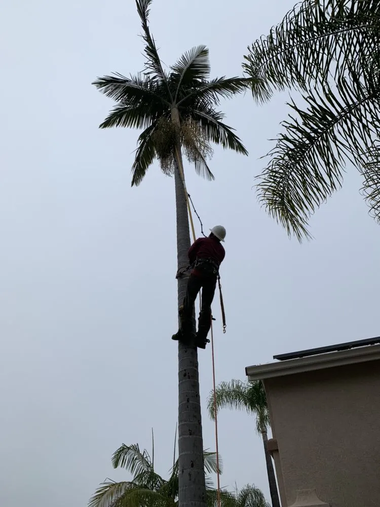 Trusted landscape installation experts serving Carson, CA - AJ's Landscaping