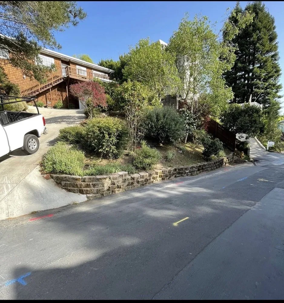 Reliable lawn mowing service near you in Novato, CA by AJ's Landscaping