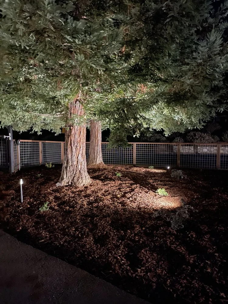 Professional lawn mowing service experts serving Novato, CA - AJ's Landscaping