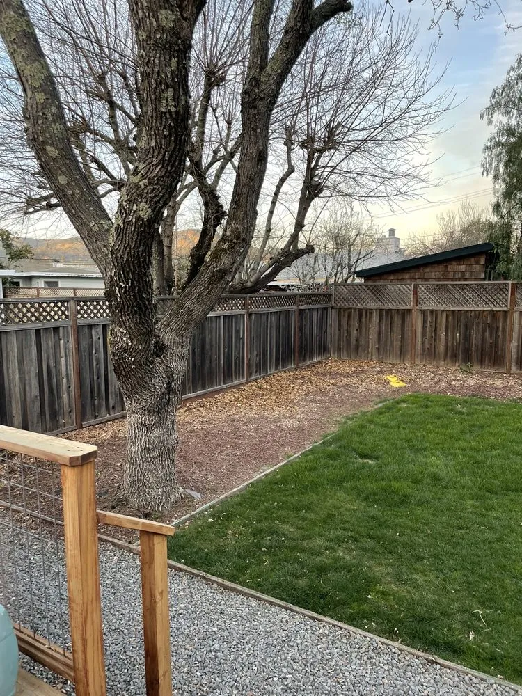 Professional landscape design in Novato, CA - AJ's Landscaping