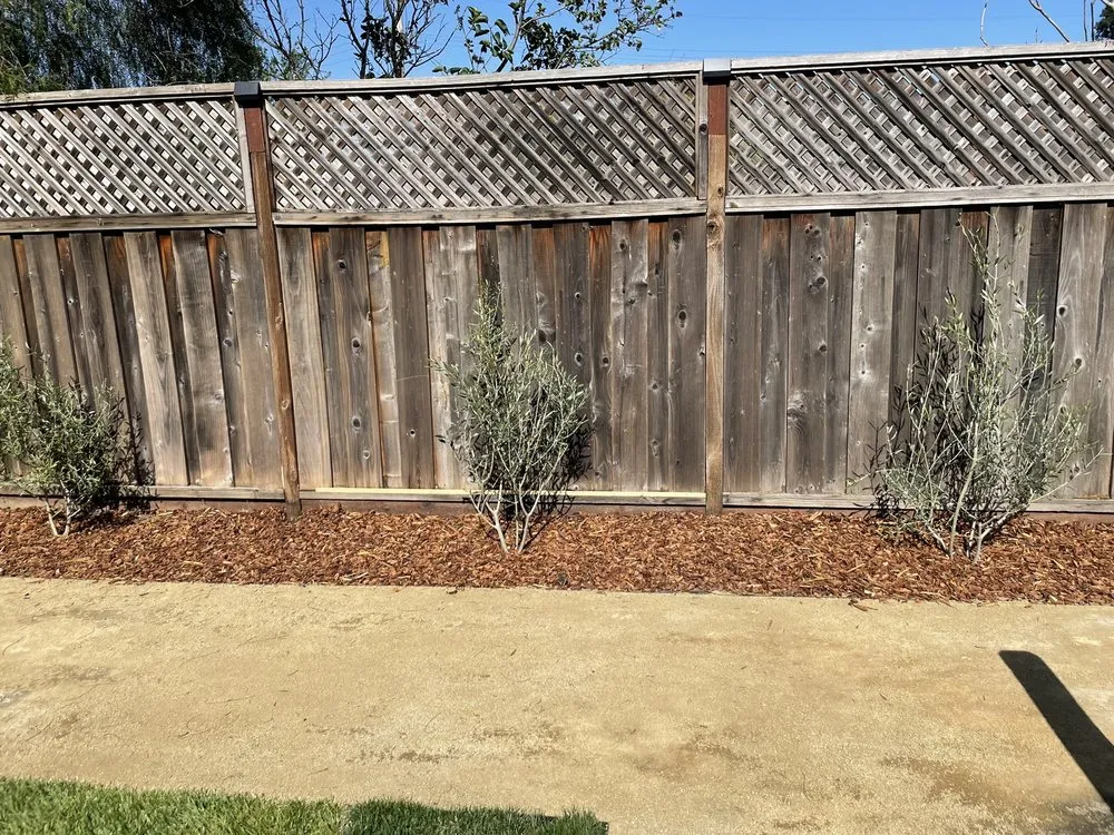 Professional yard maintenance experts serving Novato, CA - AJ's Landscaping