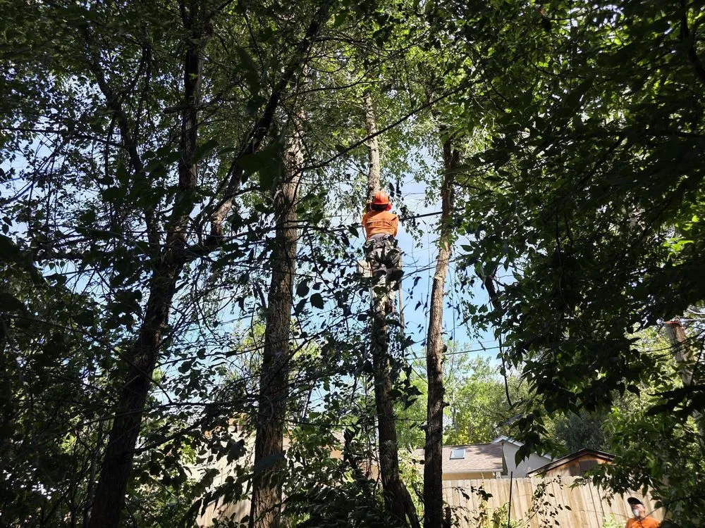 Affordable landscape design for beautiful yards in Colorado Springs, CO by AJ's Landscaping Service