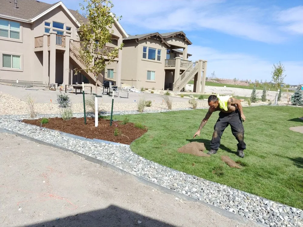 Reliable yard cleanup service near you across Colorado Springs, CO - AJ's Landscaping Service