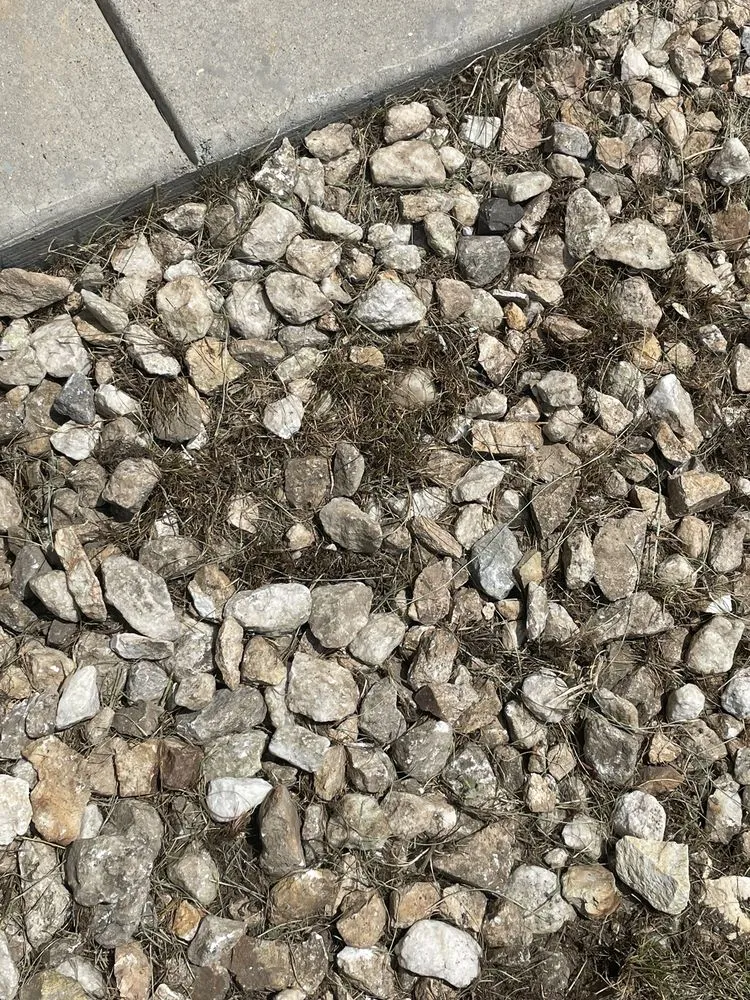 Custom landscape installation in Colorado Springs, CO by AJ's Landscaping Service