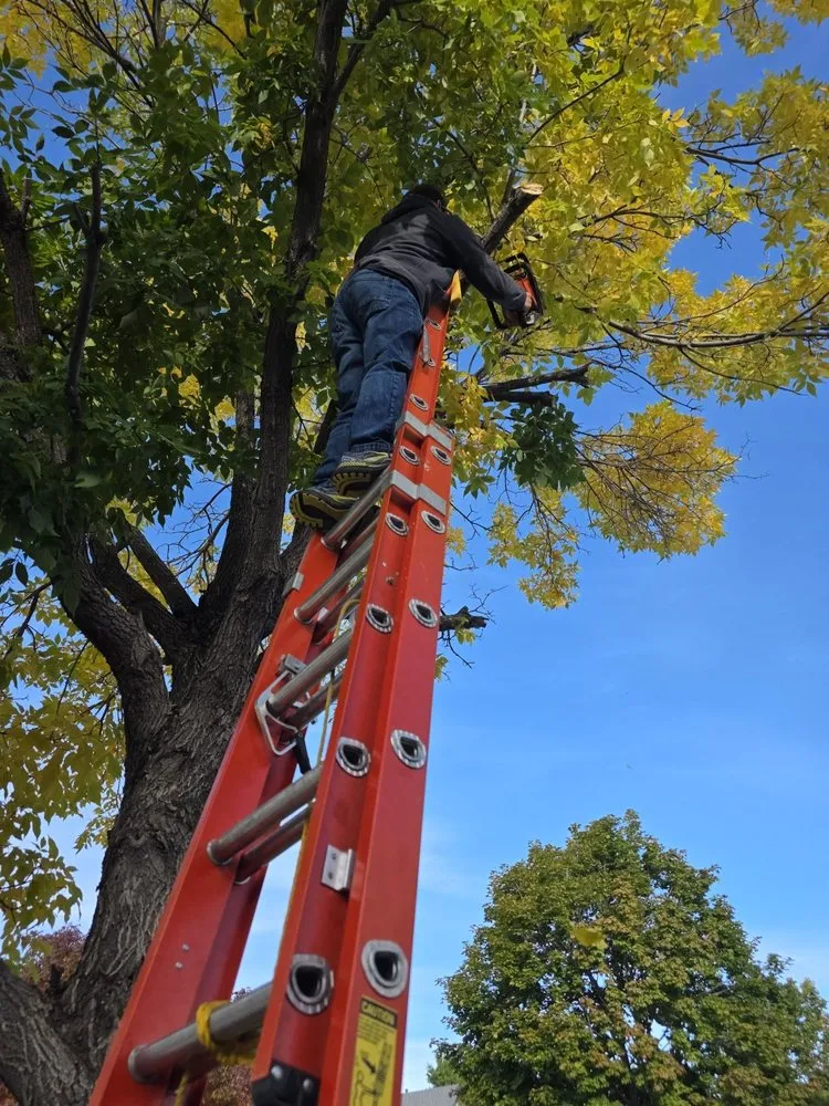 Affordable landscape installation near you across Colorado Springs, CO - AJ's Landscaping Service