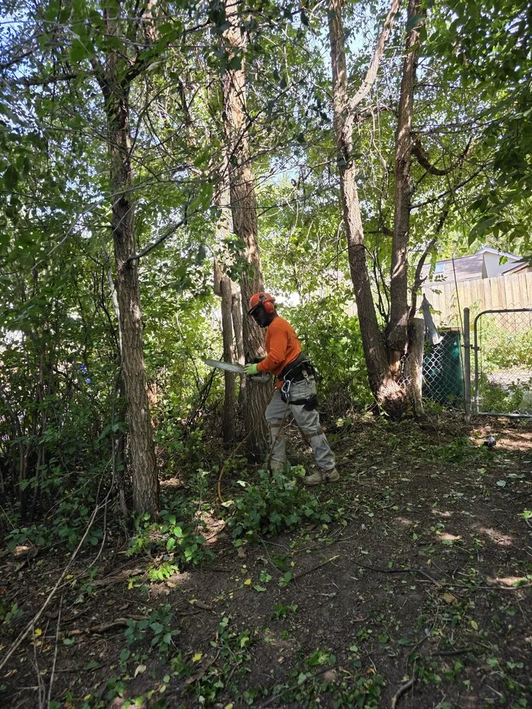 Local landscape design for beautiful yards in Colorado Springs, CO by AJ's Landscaping Service