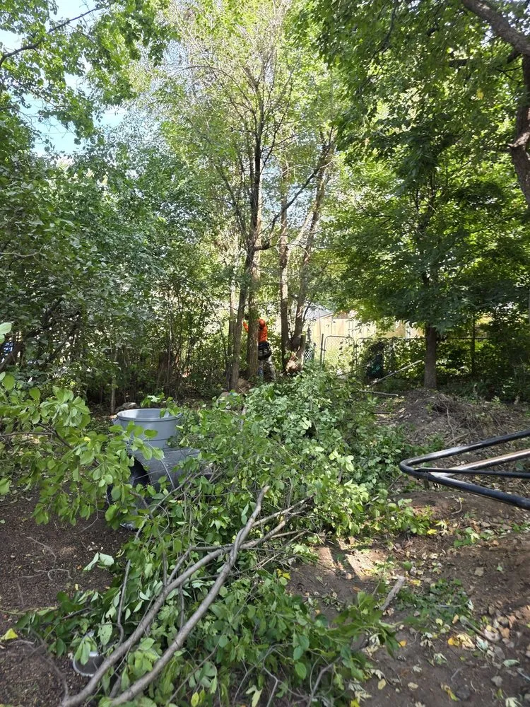 Trusted landscaping services in Colorado Springs, CO - AJ's Landscaping Service