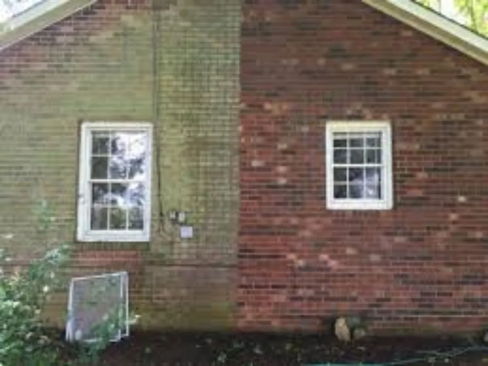 Top-rated outdoor landscaping experts serving Charleston, SC - Aj's Lawn & Thingz