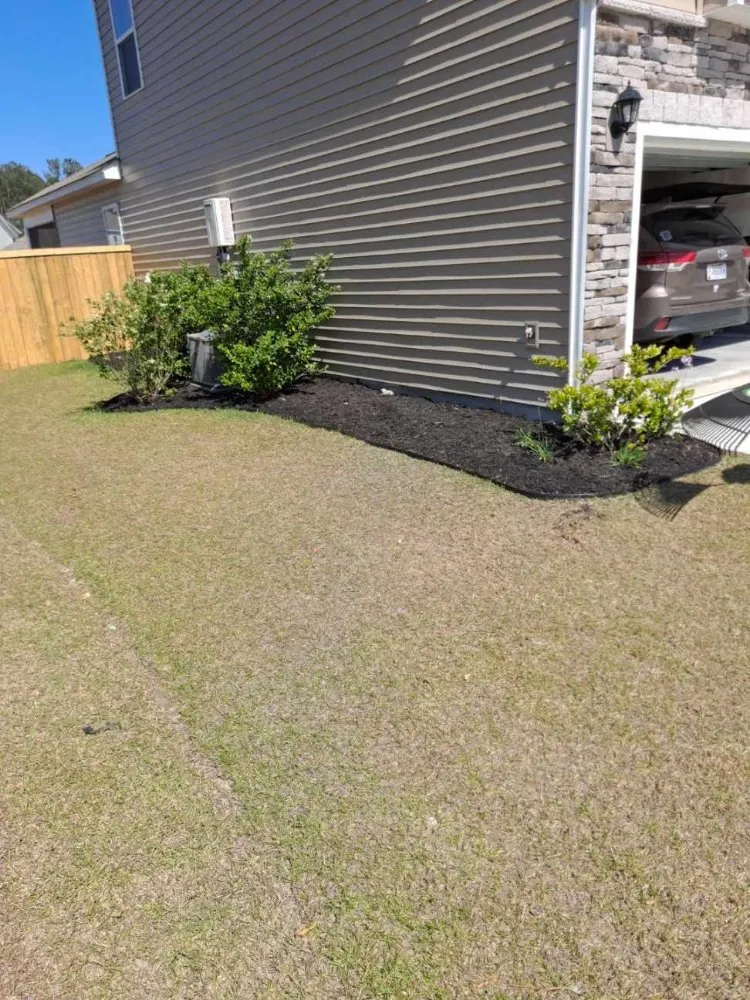 Professional landscape installation with custom design in Charleston, SC by Aj's Lawn & Thingz