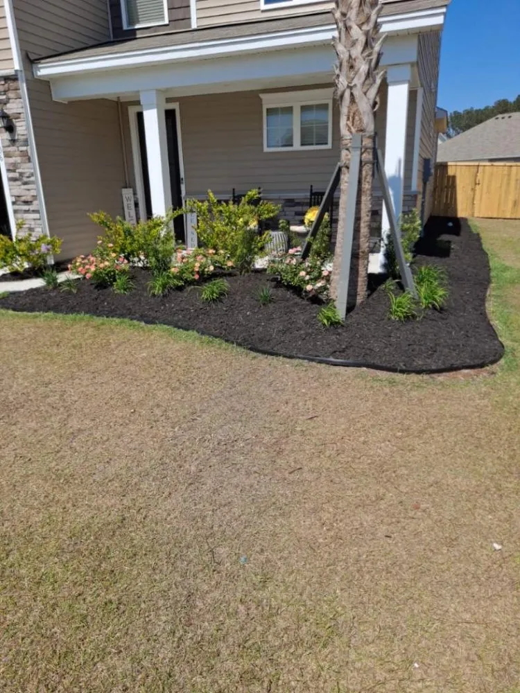 Professional yard maintenance experts serving Charleston, SC - Aj's Lawn & Thingz