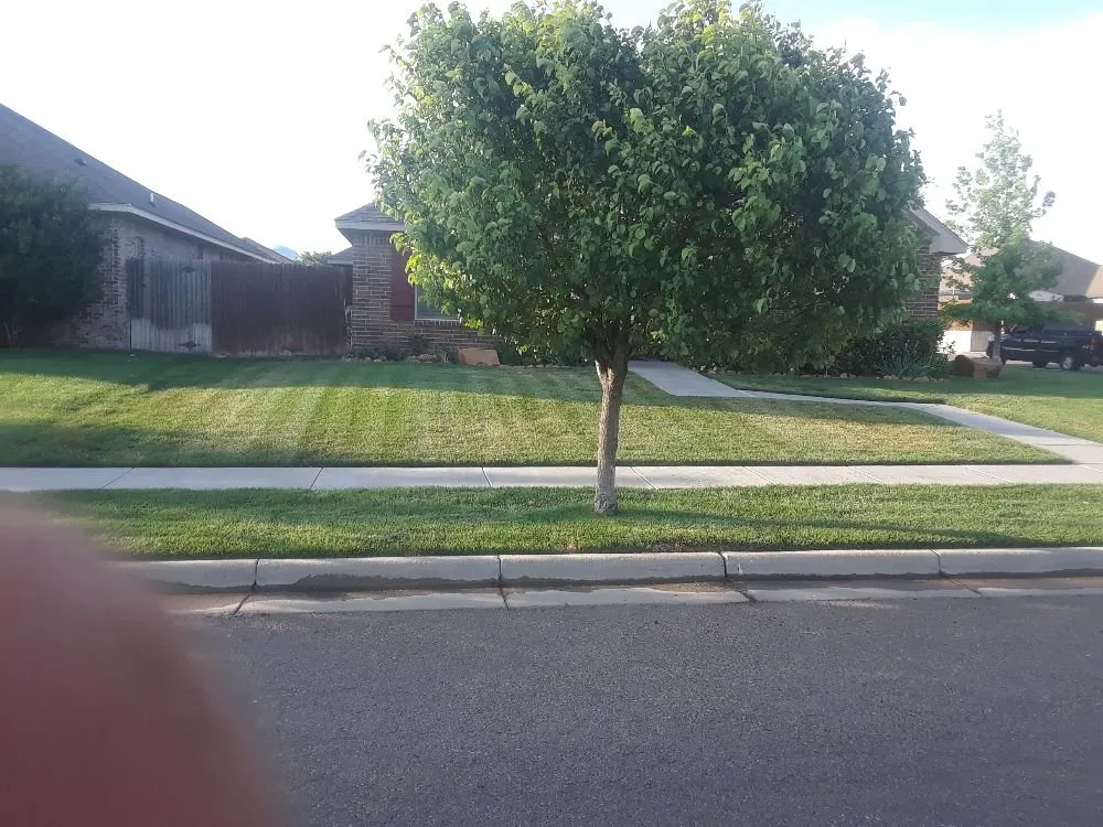 Reliable residential landscaping in Amarillo, TX - AJ's Lawn Care