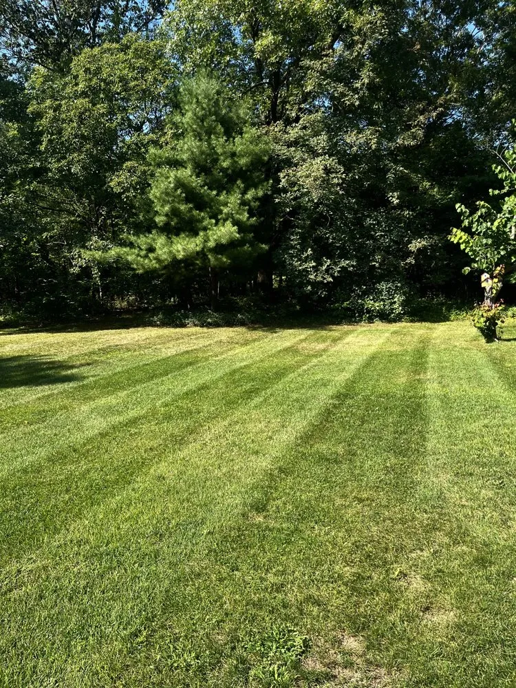 Affordable yard cleanup service in Delton, MI - Aj’s Lawn Maintenance