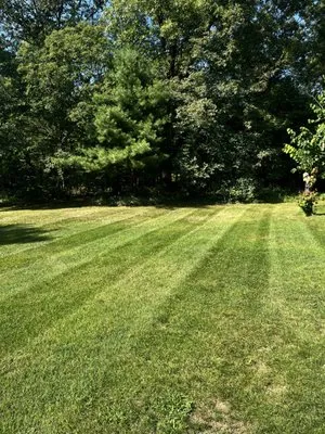 Aj’s Lawn Maintenance Logo