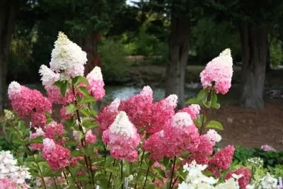 Professional residential landscaping for outdoor upgrades across Duluth, MN - AJ's Lawncare & Landscaping