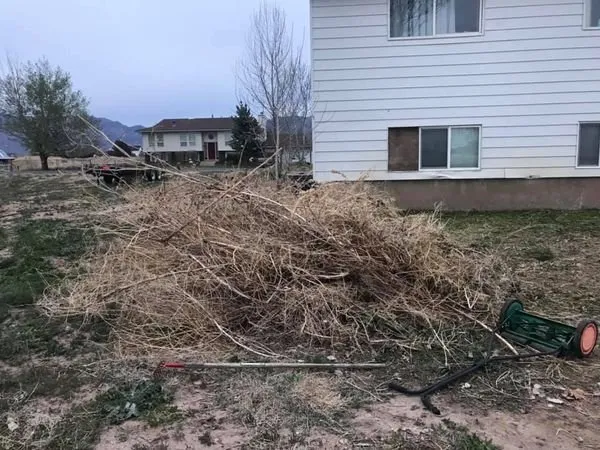 Reliable landscaping services experts serving Sunset, UT - AJ's Lawncare & Landscaping