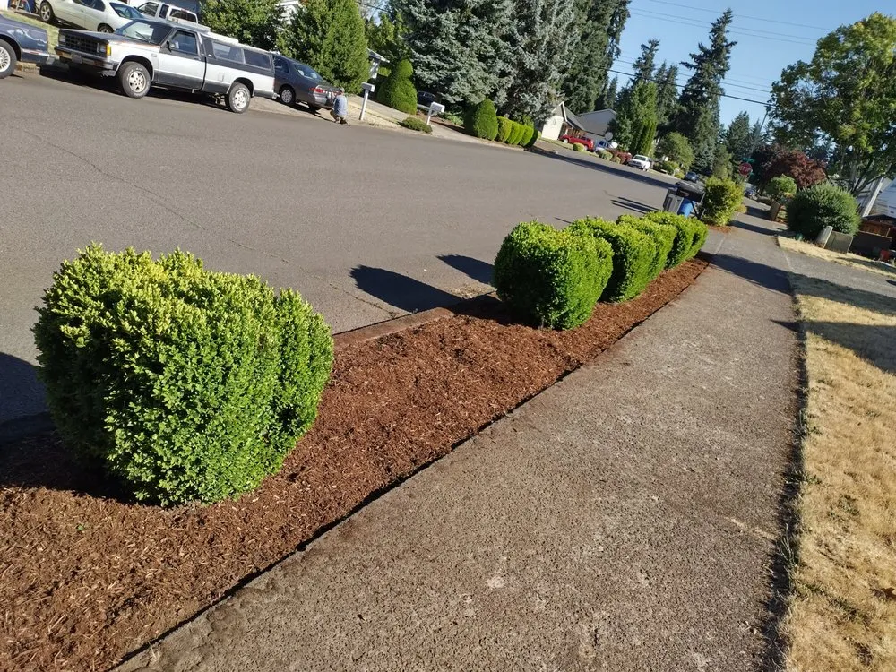 Top-rated lawn mowing service for year-round maintenance across Vancouver, WA - AJs Outdoor Solutions