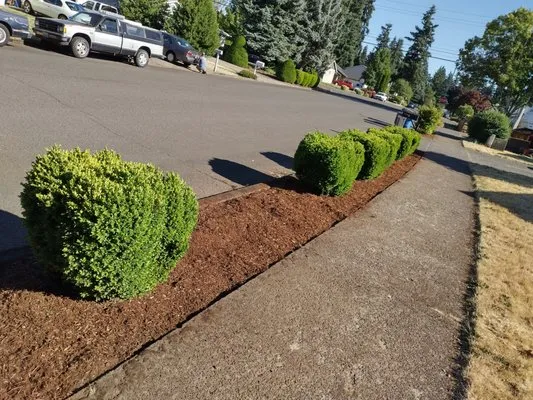 AJs Outdoor Solutions Logo