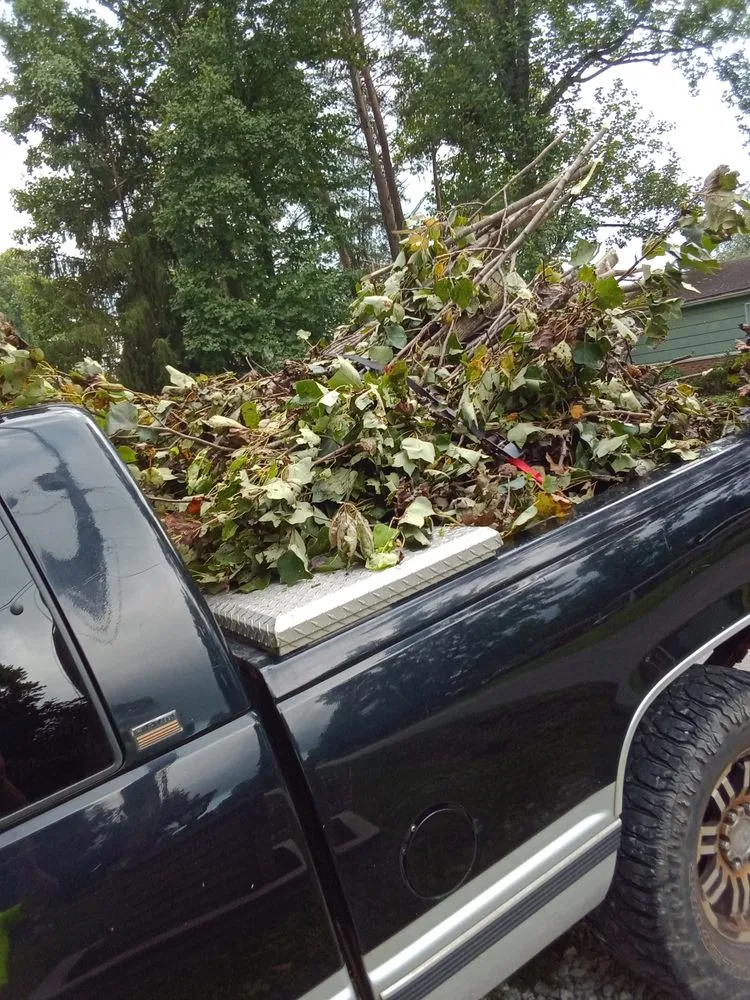 Reliable outdoor landscaping for beautiful yards across Parkersburg, WV - Ajs Property Maintenance