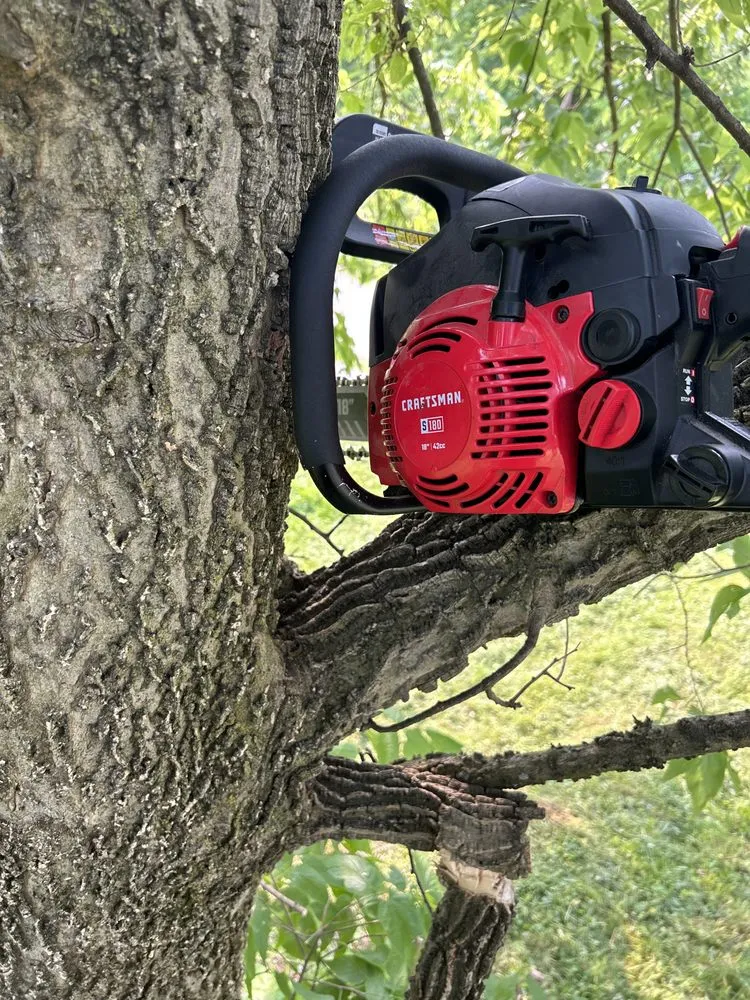 Trusted landscape design experts serving Parkersburg, WV - Ajs Property Maintenance