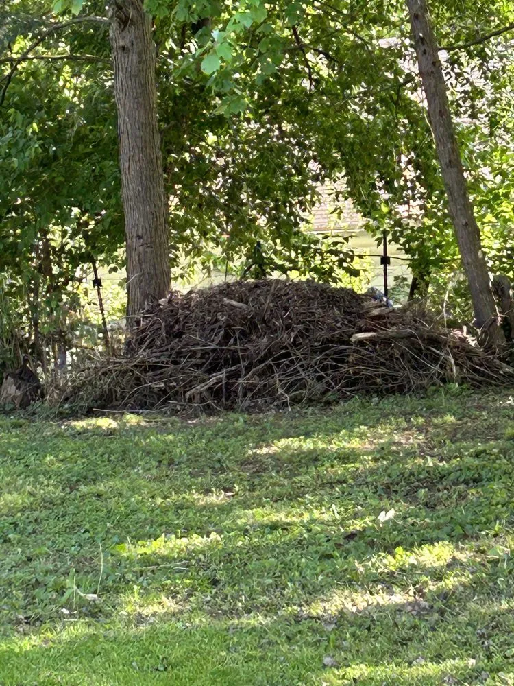 Affordable yard cleanup service in Parkersburg, WV - Ajs Property Maintenance