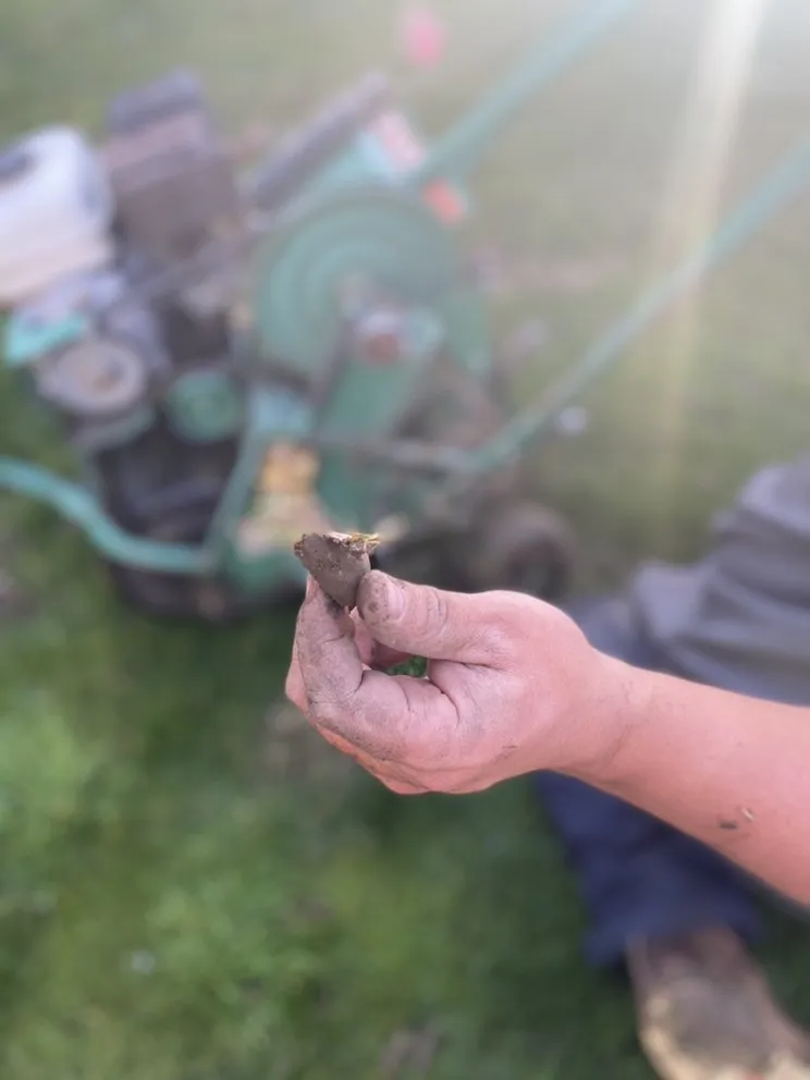 Top-rated lawn mowing service experts serving Redwood City, CA - AJS Sprinkler