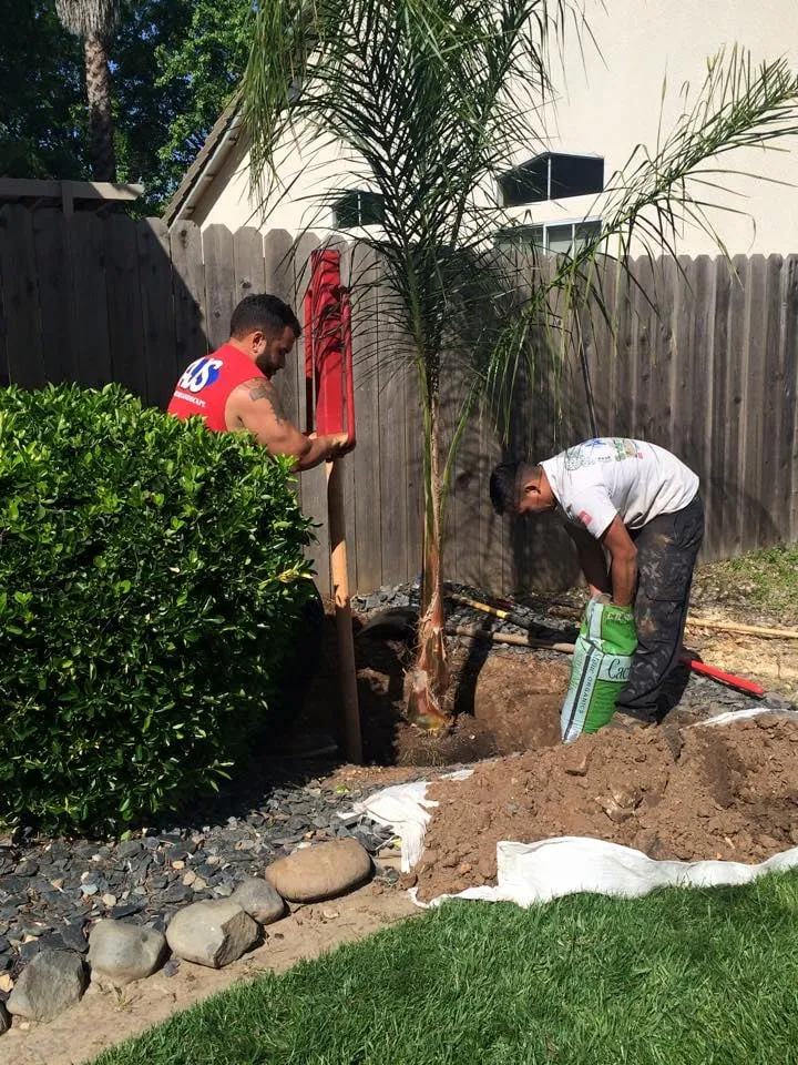 Reliable landscape design for year-round maintenance across Redwood City, CA - AJS Sprinkler