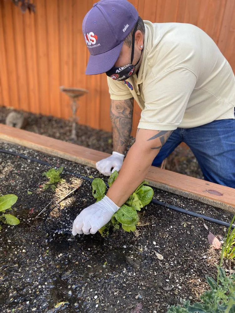 Trusted lawn care service experts serving Redwood City, CA - AJS Sprinkler