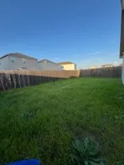 Professional yard cleanup service for year-round maintenance in Converse, TX by Aj's Supreme Lawncare Services