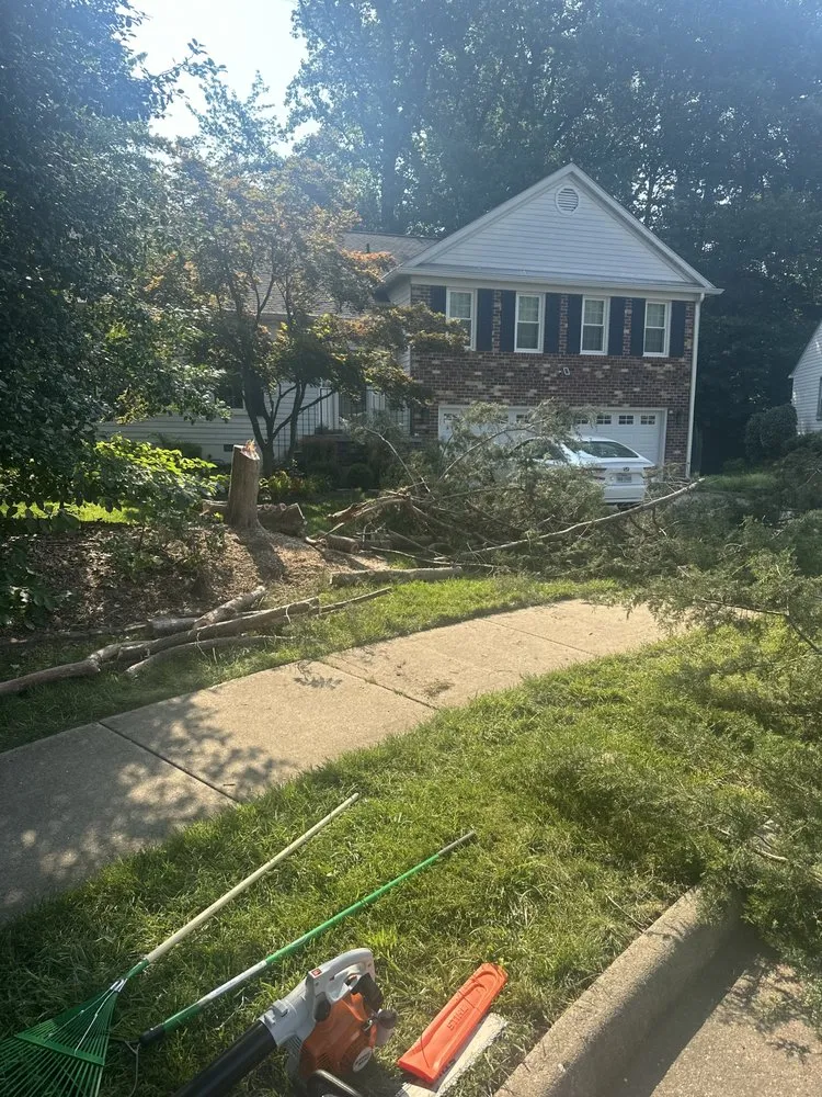 Local lawn care service experts serving Amissville, VA - A&J's Tree & Landscaping Services