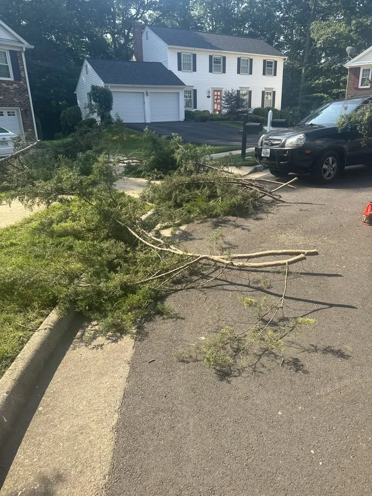 Expert garden landscaping in Amissville, VA - A&J's Tree & Landscaping Services