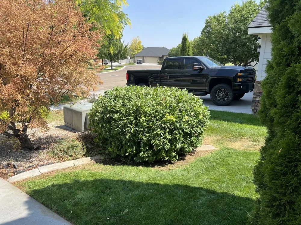 Professional yard maintenance in Caldwell, ID - AJ’s Tree Pruning & Landscaping